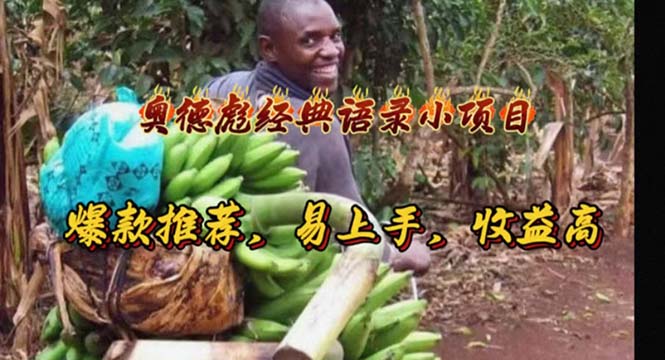 (11030期)奥德彪经典语录小项目,爆款推荐,易上手,收益高-九才资源网