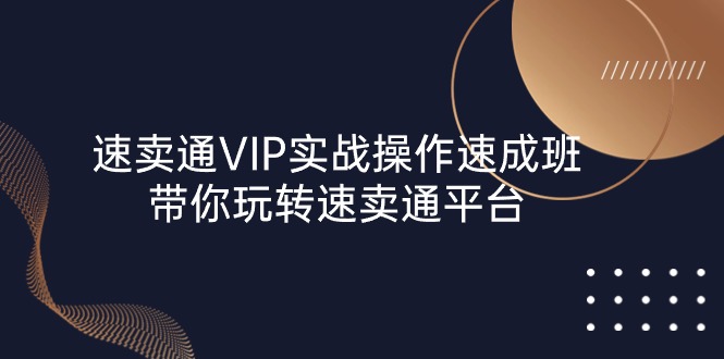 (10935期)速卖通 VIP实战操作-速成班,带你玩转速卖通平台(23节)-九才资源网