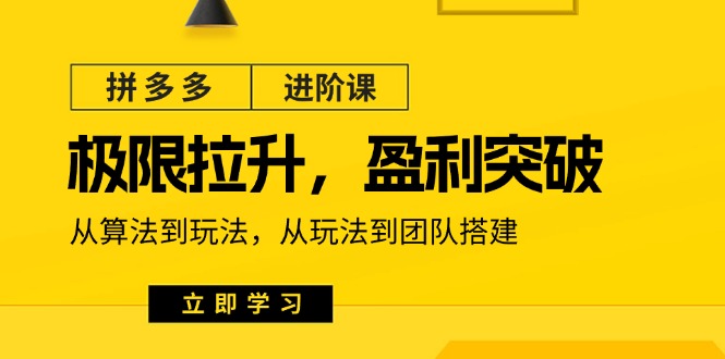 (11435期)拼多多·进阶课:极限拉升/盈利突破:从算法到玩法 从玩法到团队搭建-18节-九才资源网