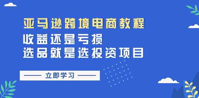 亚马逊跨境电商教程:收益还是亏损!选品就是选投资项目-九才资源网