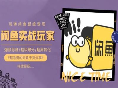 手把手教你0到1系统玩转闲鱼变现,爆款思维/超级曝光/超高转化-九才资源网