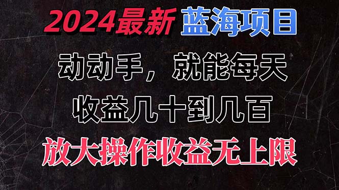 (11470期)有手就行的2024全新蓝海项目,每天1小时收益几十到几百,可放大操作收…-九才资源网