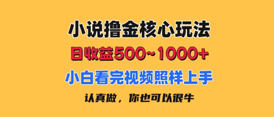 (11461期)小说撸金核心玩法,日收益500-1000+,小白看完照样上手,0成本有手就行-九才资源网