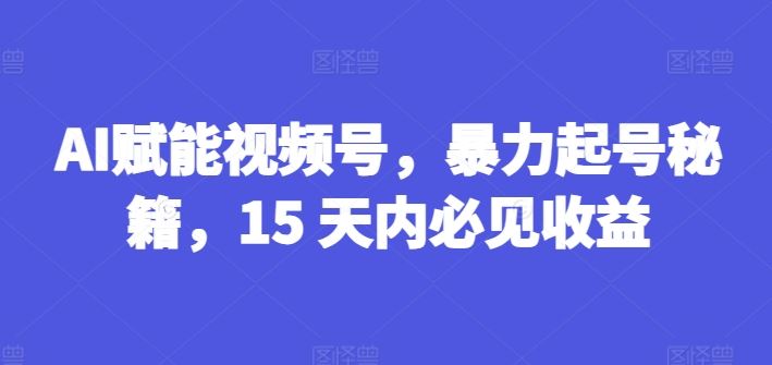 AI赋能视频号,暴力起号秘籍,15 天内必见收益【揭秘】-九才资源网