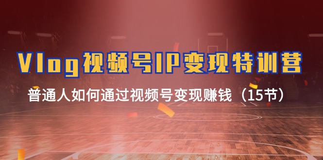 (11654期)Vlog 视频号IP变现特训营,普通人如何通过视频号变现赚钱(15节)-九才资源网