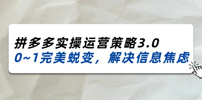 (11658期)2024_2025拼多多实操运营策略3.0,0~1完美蜕变,解决信息焦虑(38节)-九才资源网