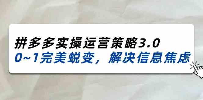 2024-2025拼多多实操运营策略3.0,0~1完美蜕变,解决信息焦虑(38节)-九才资源网