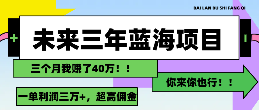 (11716期)未来三年,蓝海赛道,月入3万+-九才资源网