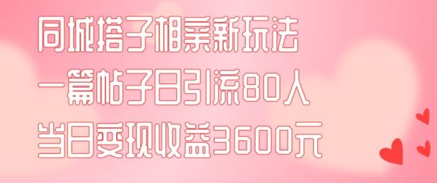 同城搭子相亲新玩法一篇帖子引流80人当日变现3600元(项目教程+实操教程)【揭秘】-九才资源网