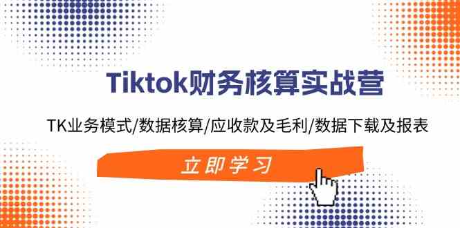 Tiktok财务核算实战营:TK业务模式/数据核算/应收款及毛利/数据下载及报表-九才资源网