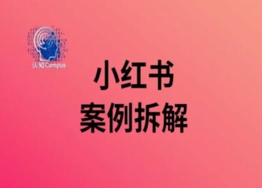 小红书案例拆解,深度解读小红书40万粉-九才资源网