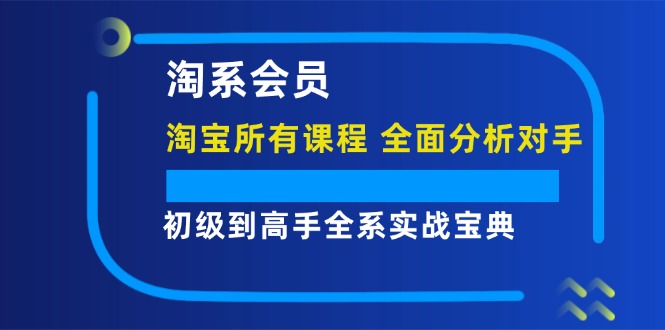 (12055期)淘系会员【淘宝所有课程,全面分析对手】,初级到高手全系实战宝典-九才资源网