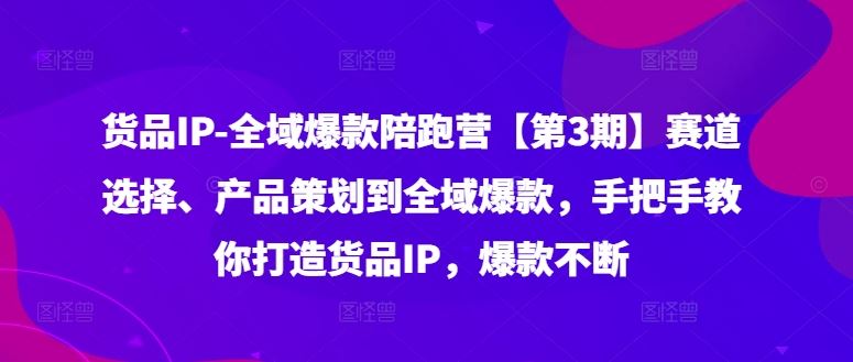 货品IP全域爆款陪跑营【第3期】赛道选择、产品策划到全域爆款,手把手教你打造货品IP,爆款不断-九才资源网