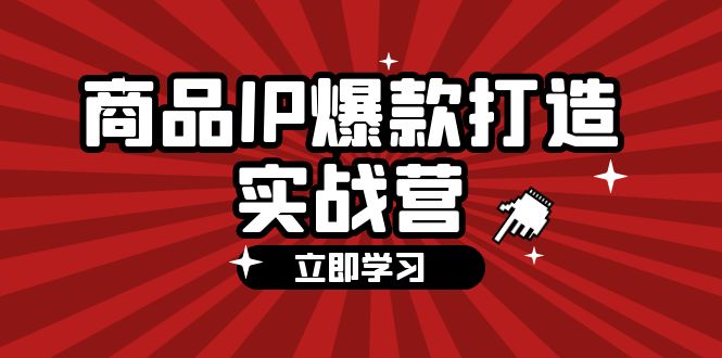 (12136期)商品-IP爆款打造实战营【第四期】,手把手教你打造商品IP,爆款 不断-九才资源网