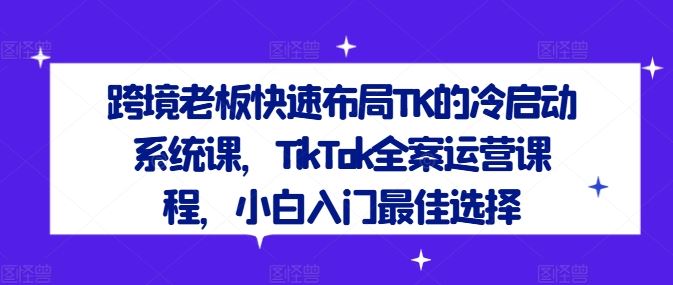 跨境老板快速布局TK的冷启动系统课,TikTok全案运营课程,小白入门最佳选择-九才资源网