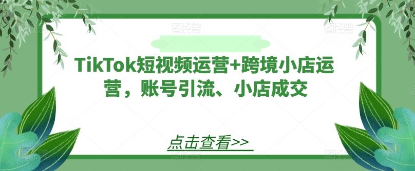 TikTok短视频运营+跨境小店运营,账号引流、小店成交-九才资源网