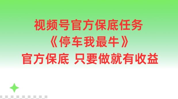 视频号官方保底任务,停车我最牛,官方保底只要做就有收益【揭秘】-九才资源网
