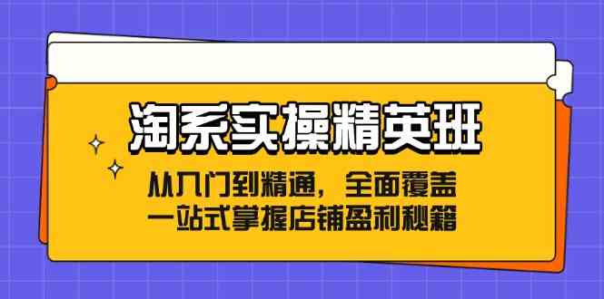 淘系实操精英班:从入门到精通,全面覆盖,一站式掌握店铺盈利秘籍-九才资源网