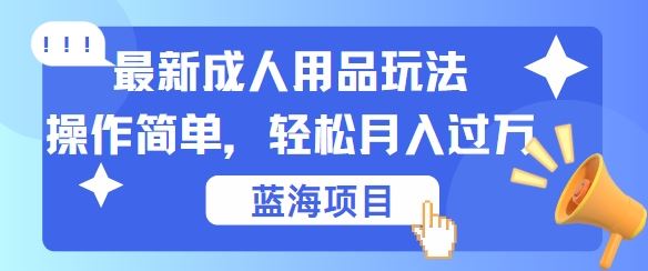 最新成人用品项目玩法,操作简单,动动手,轻松日入几张【揭秘】-九才资源网