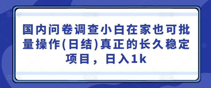 国内问卷调查小白在家也可批量操作(日结)真正的长久稳定项目,日入1k【揭秘】-九才资源网