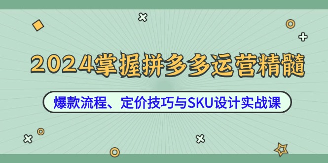 (12703期)2024掌握拼多多运营精髓:爆款流程、定价技巧与SKU设计实战课-九才资源网