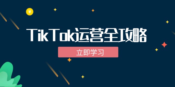 (12739期)TikTok实战运营全攻略:从下载软件到变现,抖音海外版实操教程-九才资源网