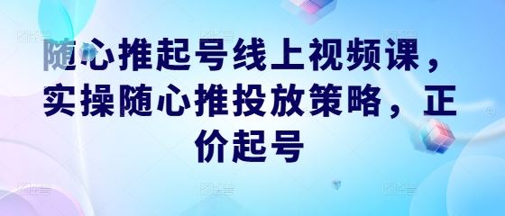 随心推起号线上视频课,实操随心推投放策略,正价起号-九才资源网