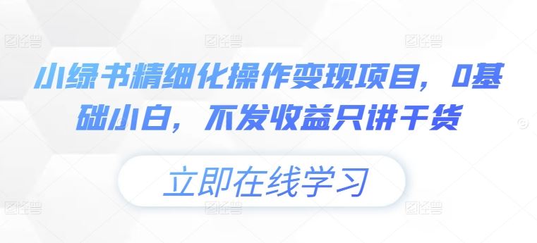 小绿书精细化操作变现项目,0基础小白,不发收益只讲干货-九才资源网