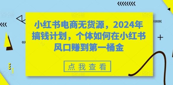 小红书电商无货源,2024年搞钱计划,个体如何在小红书风口赚到第一桶金-九才资源网