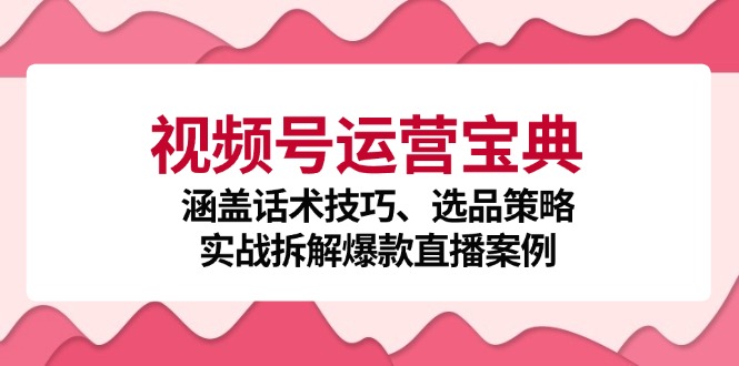 视频号运营宝典:涵盖话术技巧、选品策略、实战拆解爆款直播案例-九才资源网