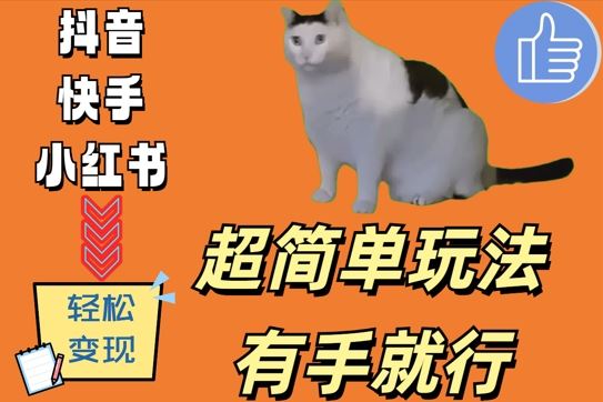 超简单玩法,有手就行,靠猫咪视频日入500+【揭秘】-九才资源网