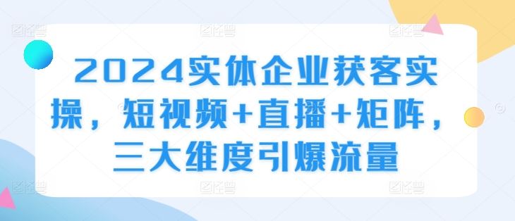 2024实体企业获客实操,短视频+直播+矩阵,三大维度引爆流量-九才资源网