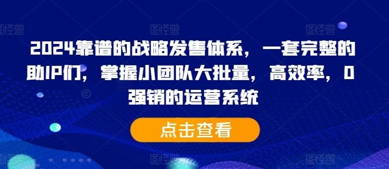 2024靠谱的战略发售体系,一套完整的助IP们,掌握小团队大批量,高效率,0 强销的运营系统-九才资源网