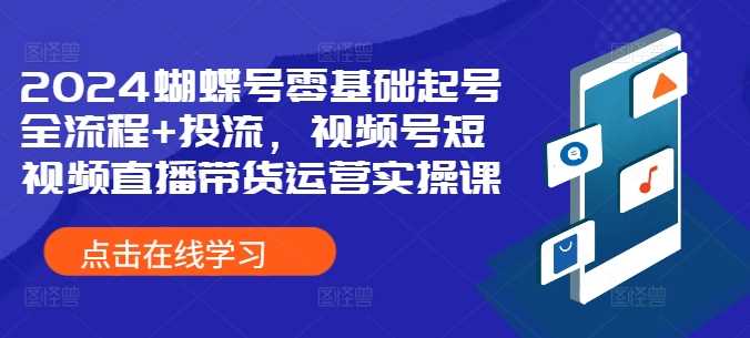 2024蝴蝶号零基础起号全流程+投流,视频号短视频直播带货运营实操课-九才资源网