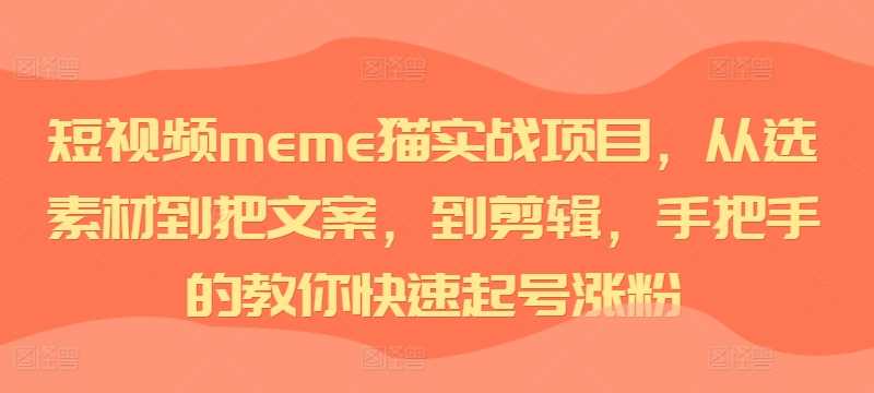 短视频meme猫实战项目,从选素材到把文案,到剪辑,手把手的教你快速起号涨粉-九才资源网
