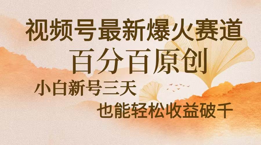(13225期)视频号最新爆火赛道,中老年粉深信不疑,百分百原创,新号三天收益轻松…-九才资源网