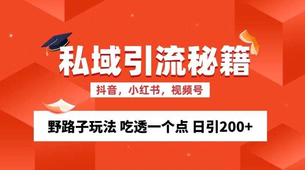 私域流量的精准化获客方法 野路子玩法 吃透一个点 日引200+ 【揭秘】-九才资源网
