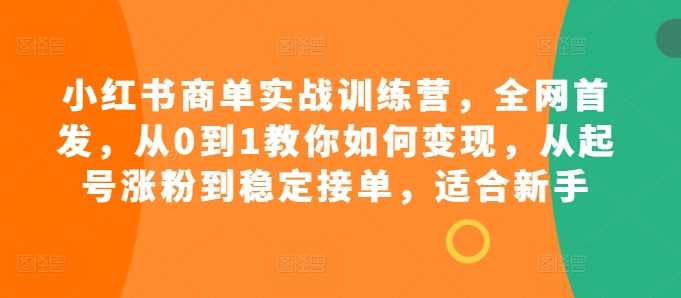 小红书商单实战训练营,全网首发,从0到1教你如何变现,从起号涨粉到稳定接单,适合新手-九才资源网