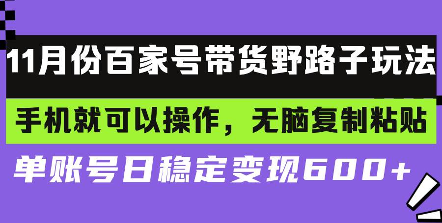 (13281期)百家号带货野路子玩法 手机就可以操作,无脑复制粘贴 单账号日稳定变现…-九才资源网