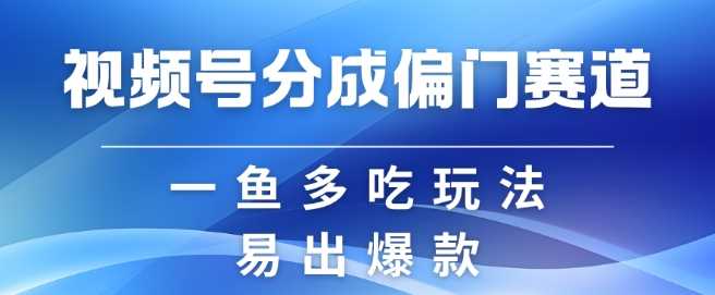 视频号创作者分成计划偏门类目,容易爆流,实拍内容简单易做【揭秘】-九才资源网
