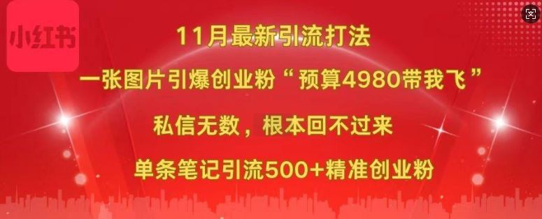 小红书11月最新图片打粉,一张图片引爆创业粉,“预算4980带我飞”,单条引流500+精准创业粉-九才资源网