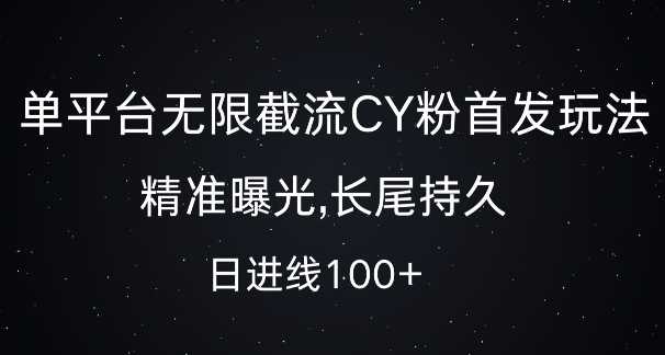 单平台无限截流创业粉首发玩法,精准曝光,长尾持久,日引流100+【揭秘】-九才资源网