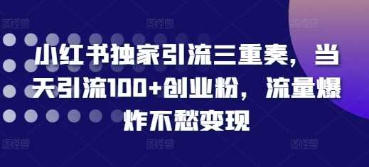 小红书独家引流三重奏,当天引流100+创业粉,流量爆炸不愁变现【揭秘】-九才资源网