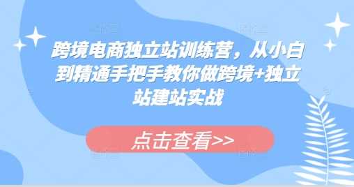 跨境电商独立站训练营,从小白到精通手把手教你做跨境+独立站建站实战-九才资源网