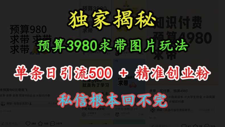 预算3980求带 图片玩法,单条日引流500+精准创业粉,私信根本回不完-九才资源网