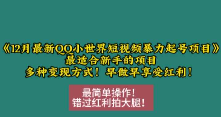 12月最新QQ小世界短视频暴力起号项目,最适合新手的项目,多种变现方式-九才资源网