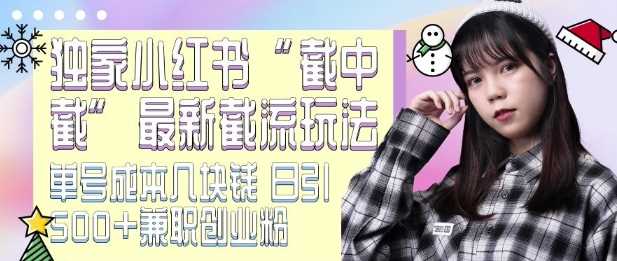 最新小红书截流玩法 独家截中截 单号成本几块钱 日引500+CY粉JZ粉-九才资源网