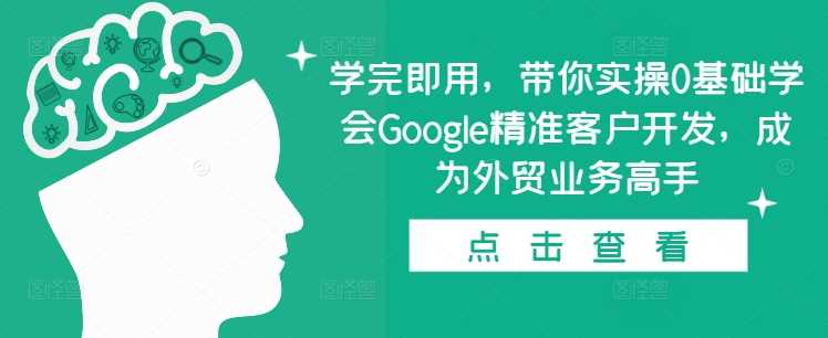 学完即用,带你实操0基础学会Google精准客户开发,成为外贸业务高手-九才资源网