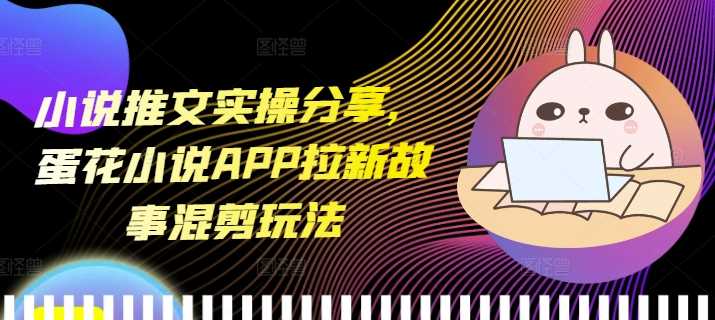 小说推文实操分享,蛋花小说APP拉新故事混剪玩法-九才资源网