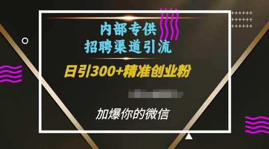 内部招聘渠道日引流300+创业粉,加爆你的微信【揭秘】-九才资源网